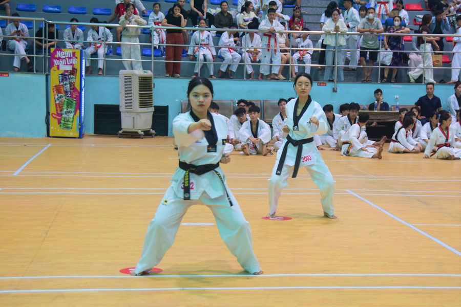 340 võ sinh Đà Nẵng thi thăng đẳng Taekwondo quốc gia