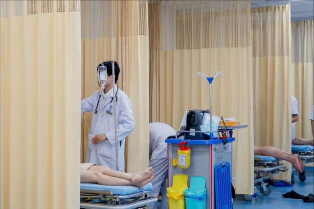 Cấp cứu 8 người bị ong vò vẽ đốt