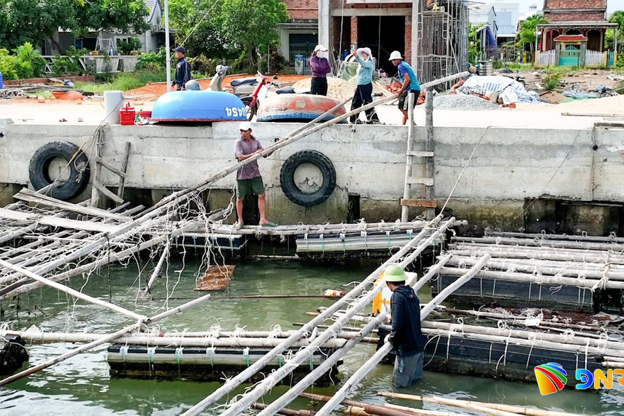 Dự án Nâng cấp khu neo đậu tránh trú bão An Hòa kết hợp cảng cá Tam Quang: Người dân Núi Thành đồng thuận, tự nguyện tháo dỡ lồng nuôi, bàn giao mặt bằng