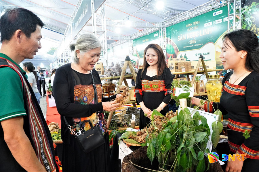Da Nang International Ngoc Linh Ginseng and Medicinal Herbs Festival 2026 slated for August 1 - 3