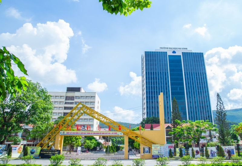 Điểm chuẩn Trường Đại học Hạ Long năm 2026 và dữ liệu 3 năm gần nhất