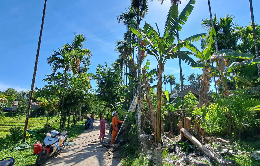 Điện lực Trà My hoàn thành đóng điện, di dời hộ dân vùng “lõm” điện tại thôn Lâm Bình Phương
