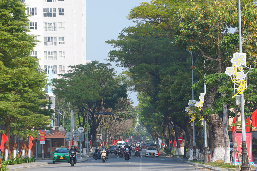 Mơ về những thảm xanh