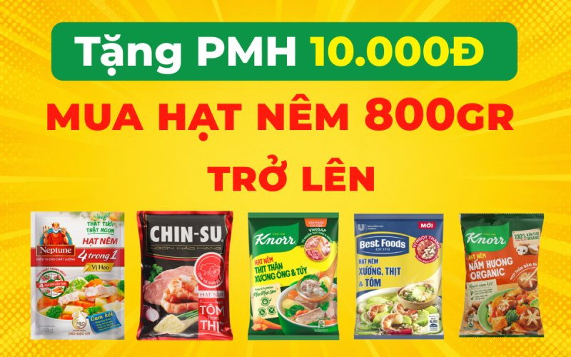 Cách nhận ngay phiếu mua hàng 10.000 đồng mua hạt nêm gói lớn trên Bách hóa XANH