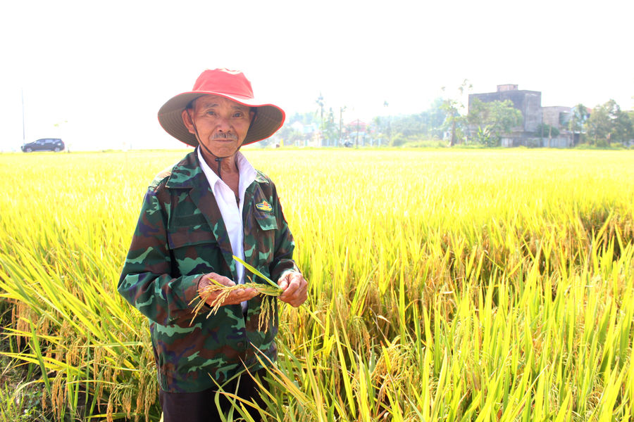 Tăng giá trị nông sản từ vùng trồng phát thải thấp