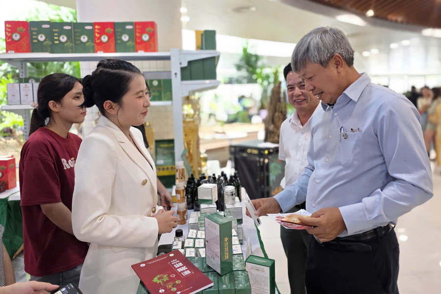 Để sâm Ngọc Linh không chỉ là món quà đắt tiền