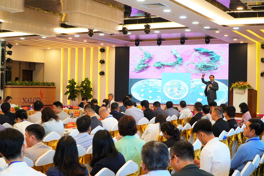 Hình thành chuỗi giá trị sâm Ngọc Linh từ hợp tác quốc tế