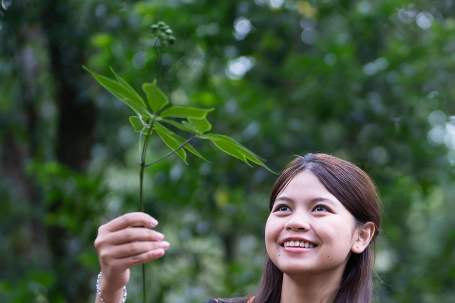Đỉnh Ngọc Linh và những người giữ sâm