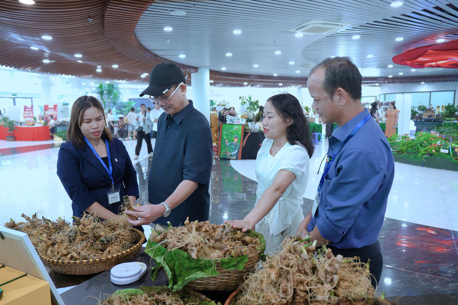 Người dân dễ dàng trồng sâm Ngọc Linh qua ứng dụng số