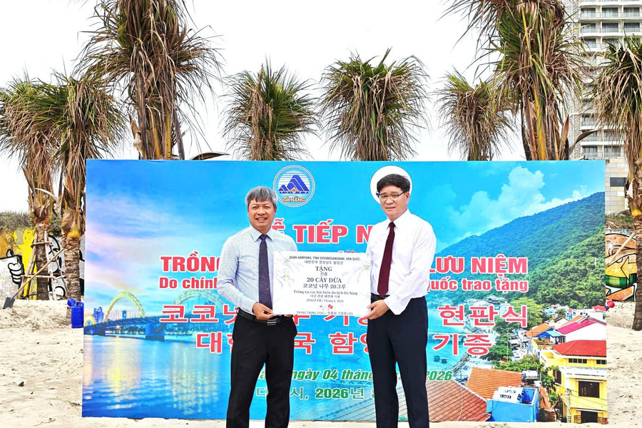 South Korea’s Hamyang County donates coconut trees to help protect Da Nang’s beaches