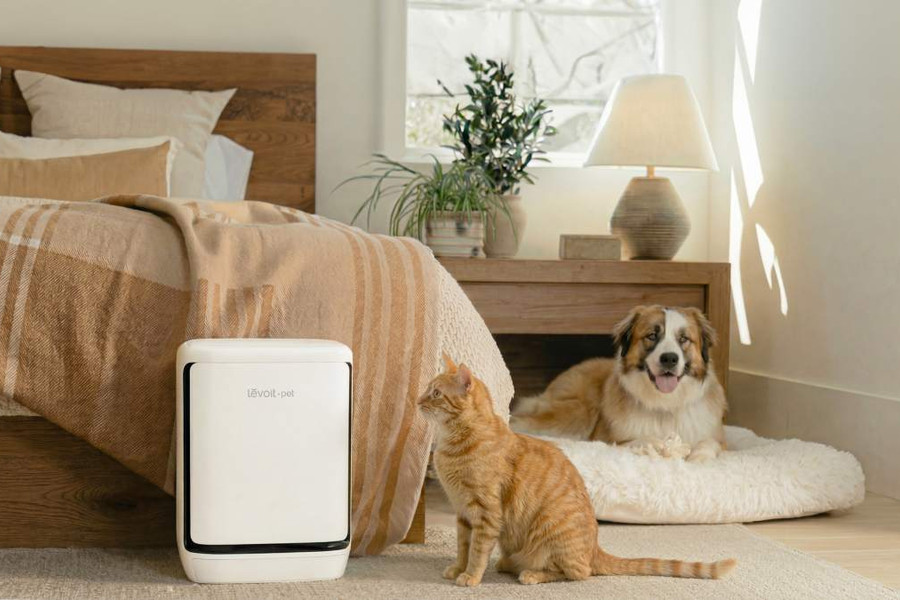Đánh giá công nghệ trên Levoit Vital Pet Pro: Lựa chọn tối ưu cho không gian nuôi thú cưng