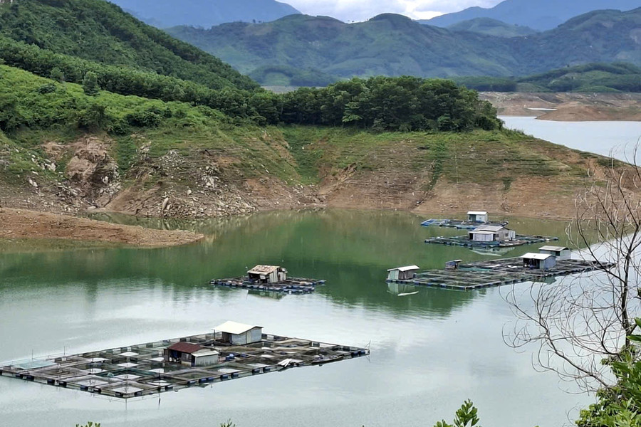Sinh kế bền vững từ nuôi cá lồng bè hồ thủy điện Sông Tranh 2