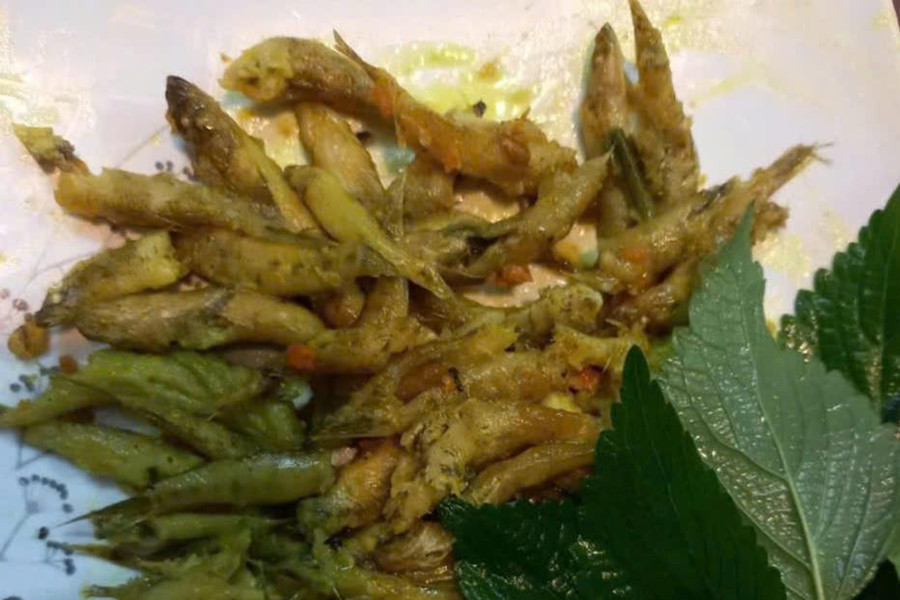Cá bống thệ kho nghệ rim