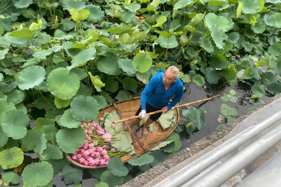 Hồ Tây còn chút sen này...