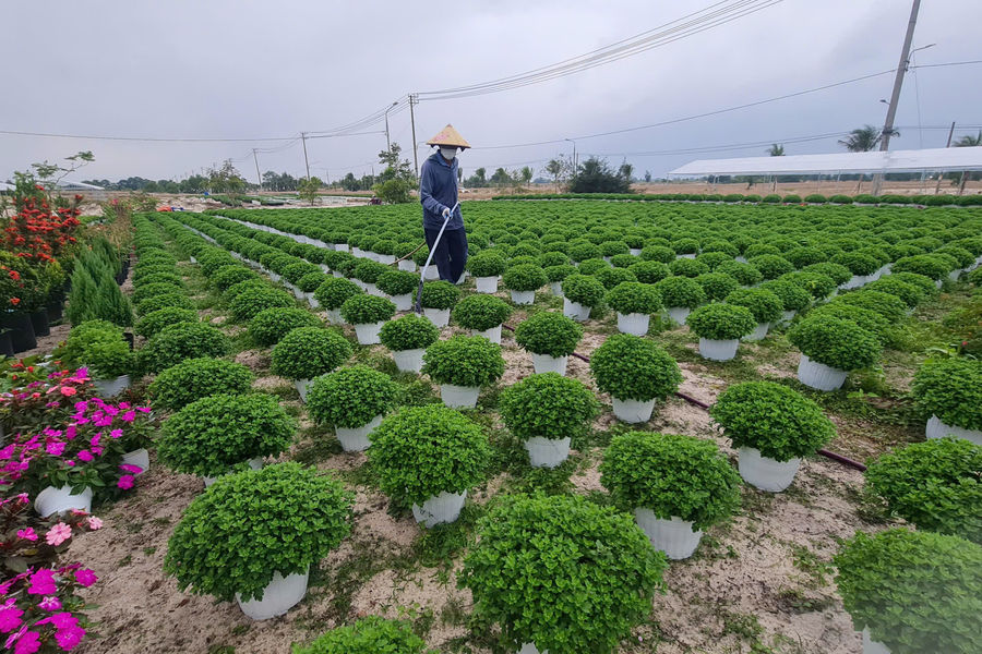 Đổi mới công tác khuyến nông