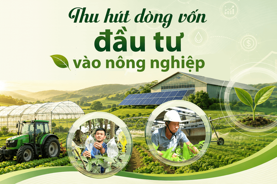 [eMagazine] - Thu hút dòng vốn đầu tư vào nông nghiệp