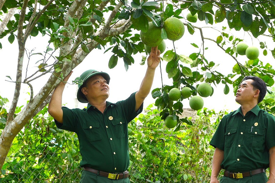 Cựu chiến binh làm kinh tế từ nguồn vốn tín dụng chính sách