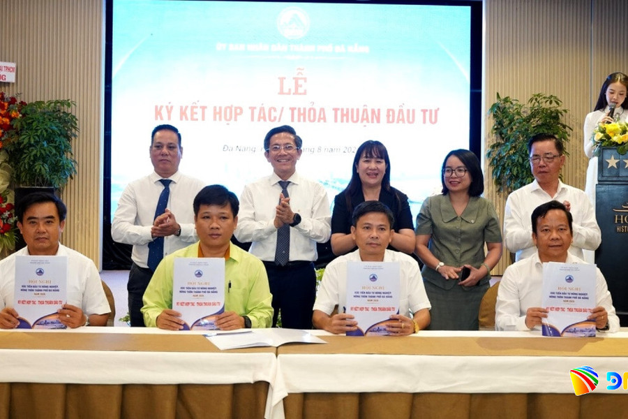 Kỳ vọng thu hút đầu tư vào ngành chăn nuôi