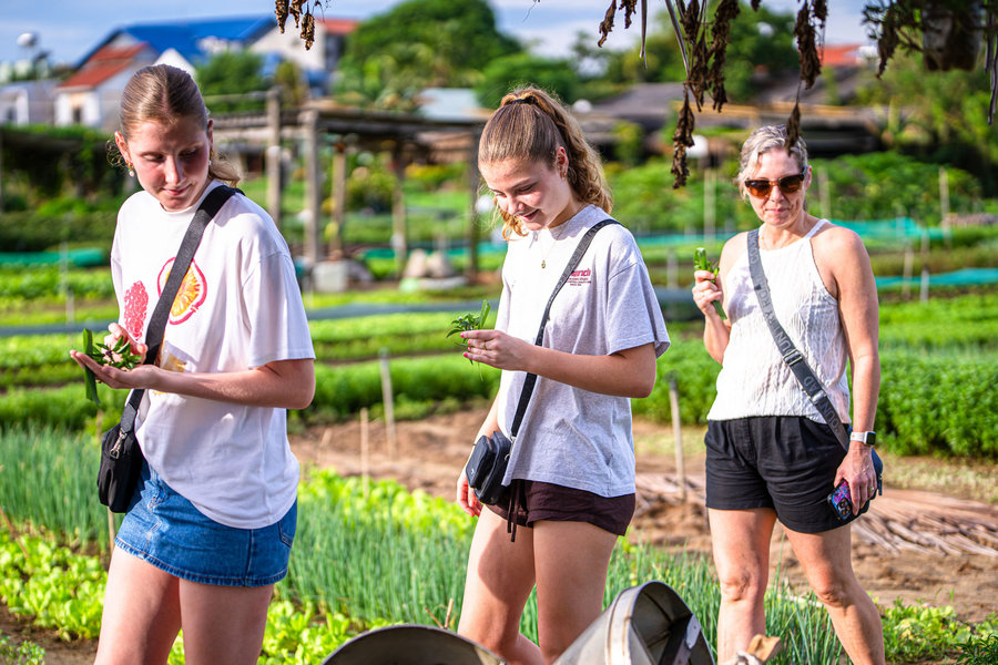 Da Nang wants your next stay to be greener