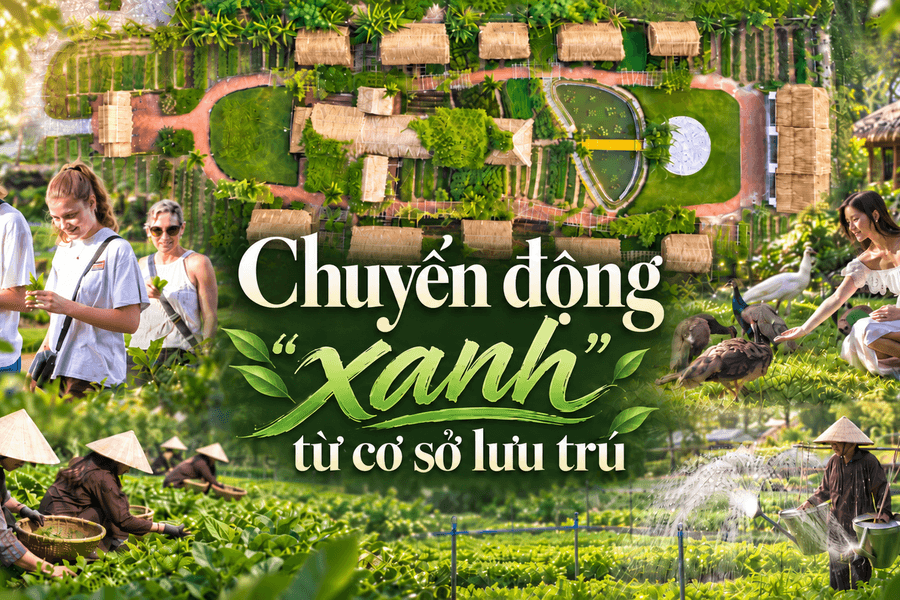 Chuyển động “xanh” từ cơ sở lưu trú