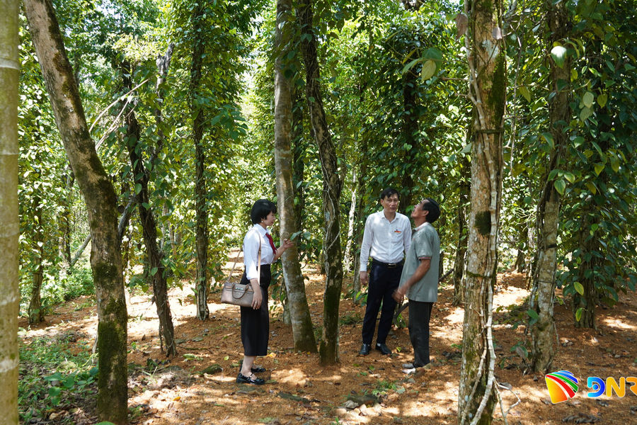 Thúc đẩy phát triển nông nghiệp bền vững