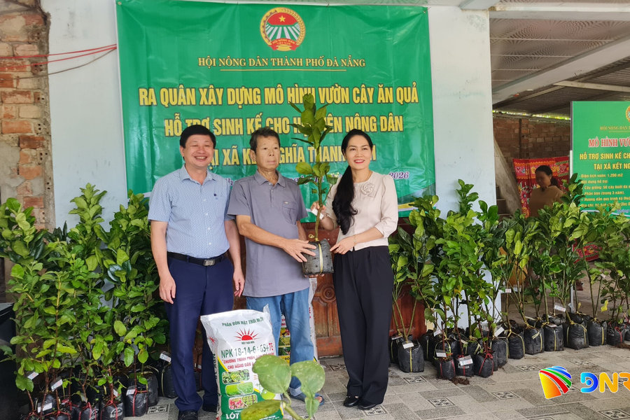 Trao hỗ trợ mô hình trồng xen cây ăn quả cho nông dân xã Thạnh Bình