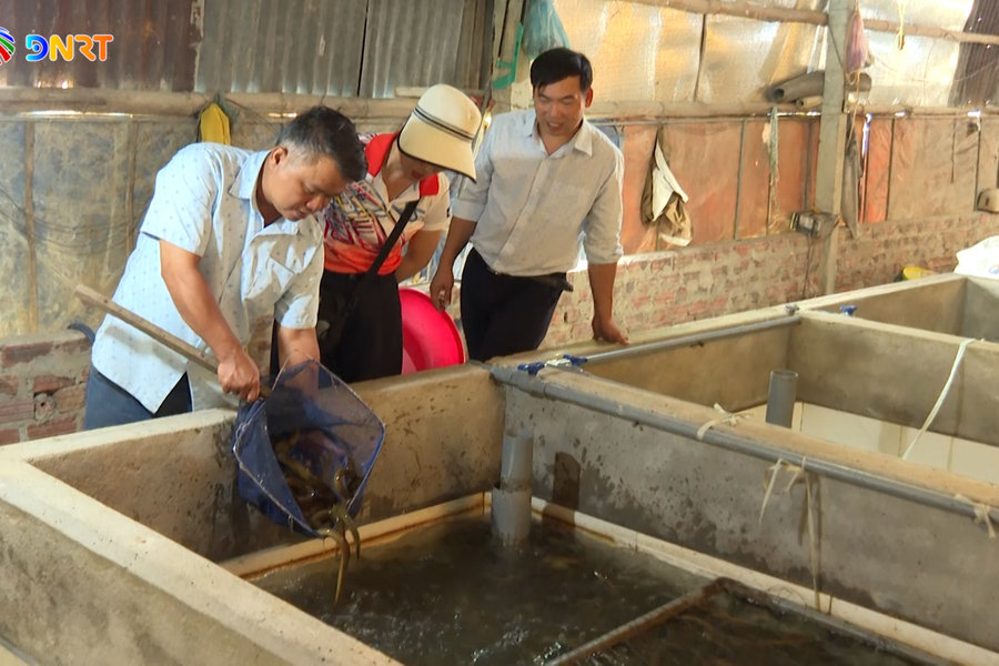 [VIDEO] - Xã Vu Gia nỗ lực chuyển đổi hiệu quả nông nghiệp hữu cơ