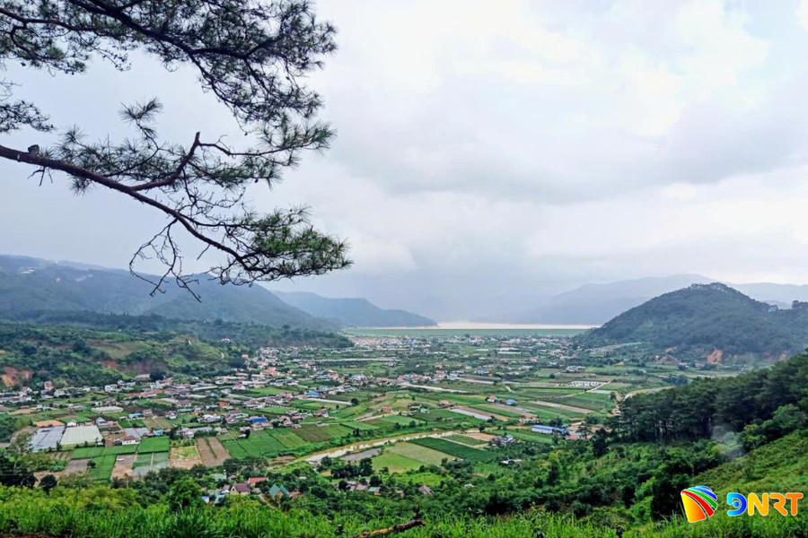 Cảm thức từ Dran