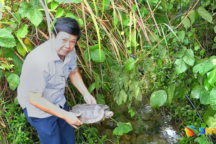 Kịp thời phát hiện, thả 2 cá thể động vật hoang dã quý hiếm về rừng
