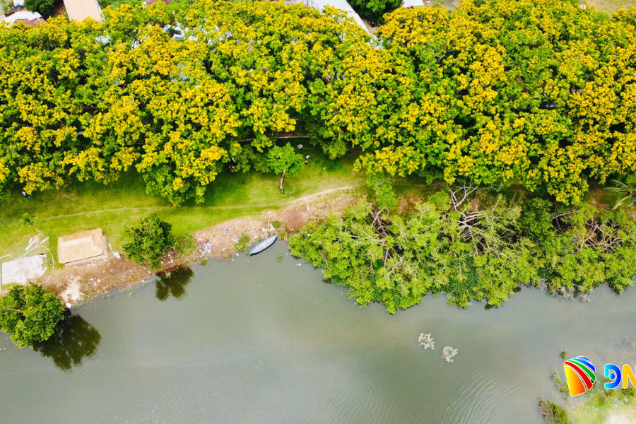 Let’s explore Da Nang’s lesser-known charms