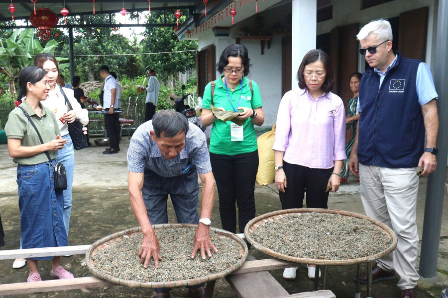Hỗ trợ phụ nữ Đà Nẵng phát triển mô hình kinh tế xanh