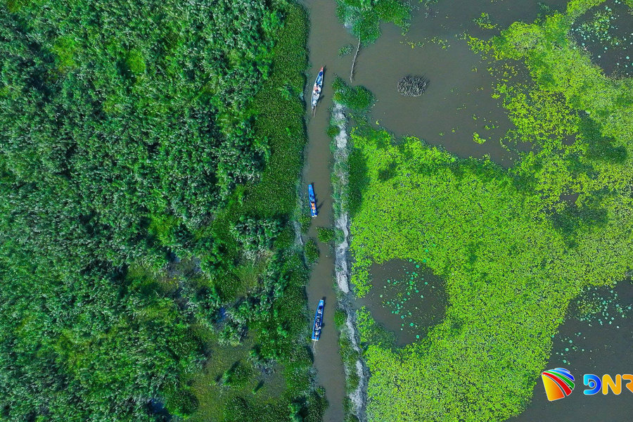 Da Nang aims to become world-class ecological coastal city